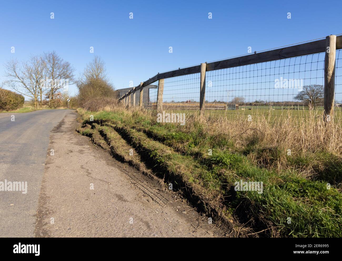 L'erba è a fianco della strada danneggiata dai veicoli che la guidano sopra. Hertfordshire. REGNO UNITO. Foto Stock