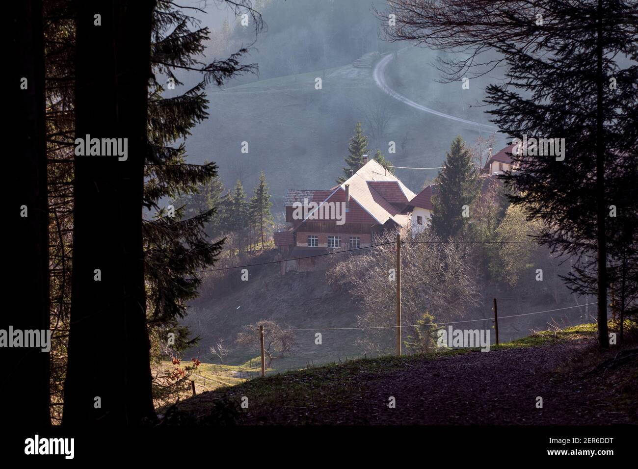 Vista panoramica sulla valle. Bordo della foresta, insediamento visibile con case. Foresta Nera, Germania Foto Stock