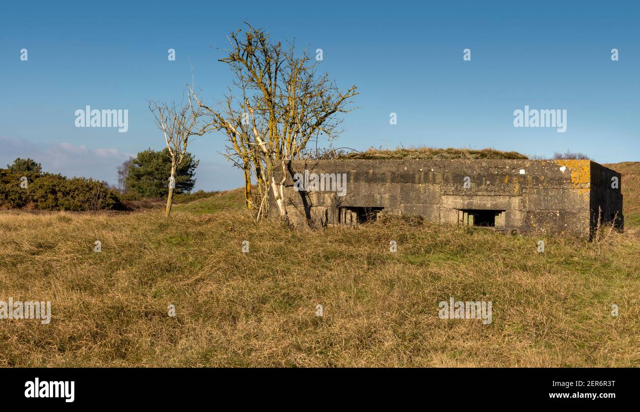 Una colonnina rettangolare in cemento della seconda guerra mondiale sulla brughiera di Suffolk, Regno Unito Foto Stock