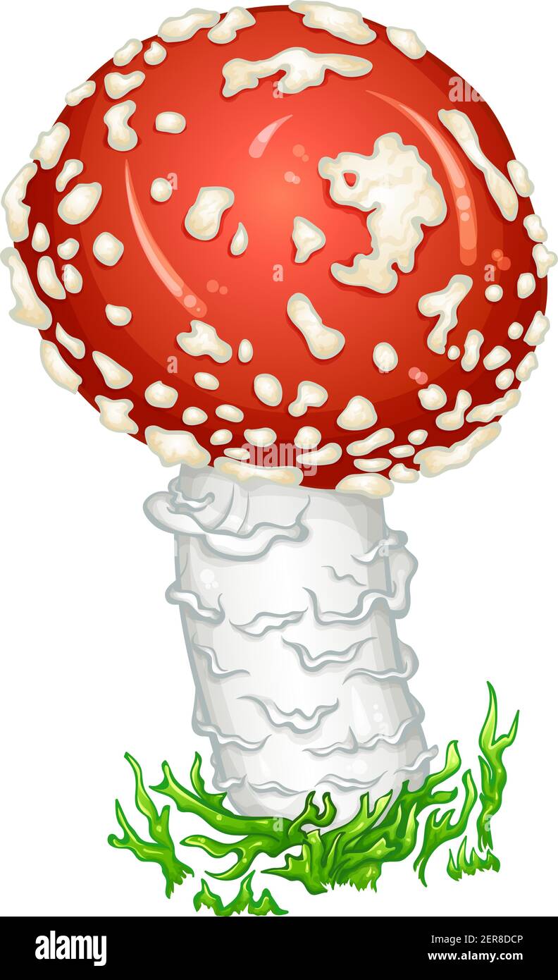 Red Amanita Fly Agaric Mushroom con muschio verde. Fungo velenoso macchiato. Pianta medicinale, magica, tossica. Illustrazione vettoriale isolata su sfondo bianco. Icona in stile disegno a mano cartoon. Illustrazione Vettoriale
