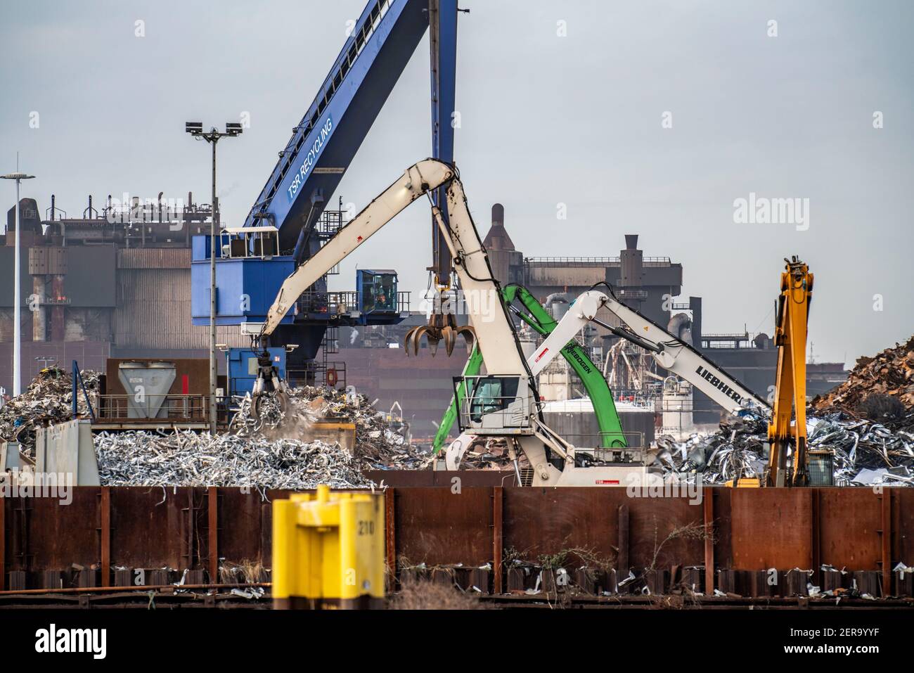 Porto interno di Duisburg-Ruhrort, isola dei rottami metallici, riciclaggio dei rottami metallici, i rottami metallici sono ordinati per gru, Duisburg, NRW, Germania; Foto Stock