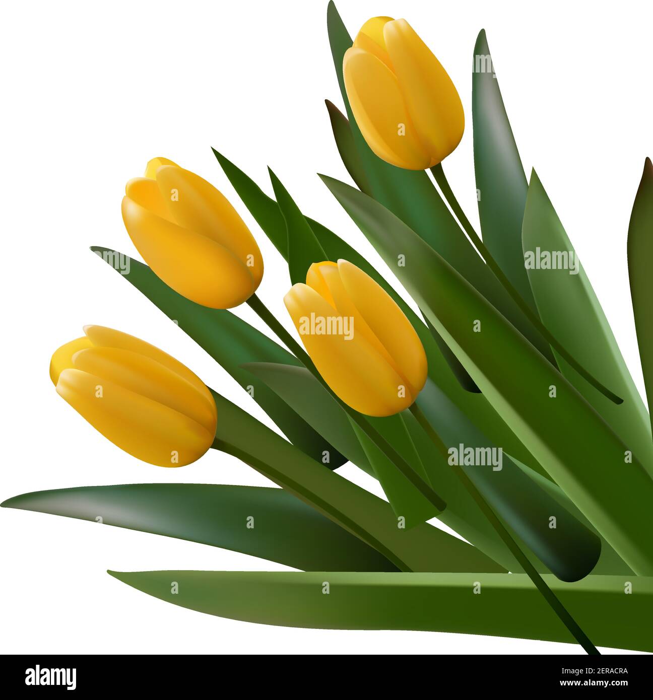 Bouquet di fiori. Mazzo di tulipani gialli con foglie. Poster del biglietto d'auguri vettoriale realistico. Illustrazione grafica. Regalo speciale Illustrazione Vettoriale