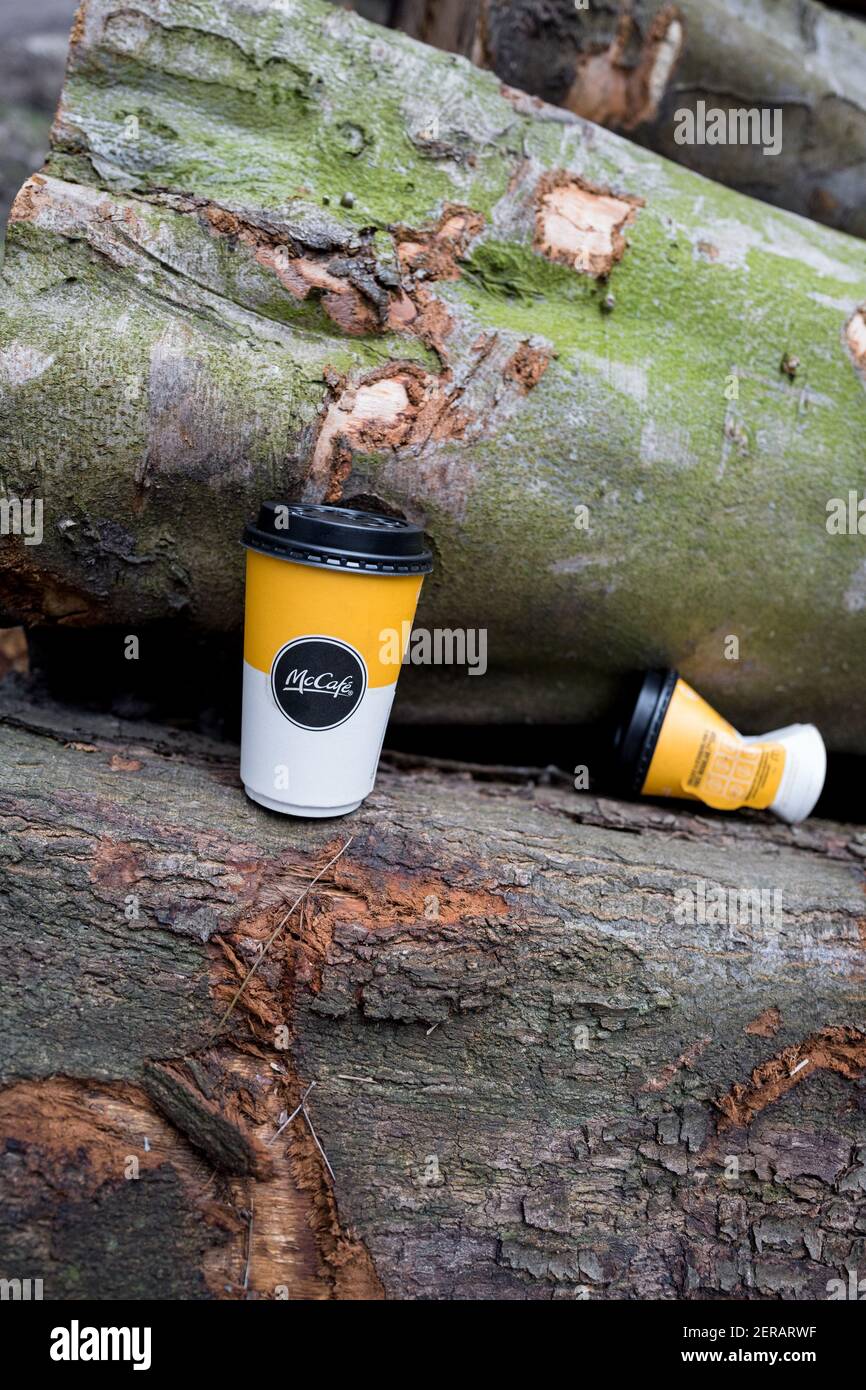 McCafe per andare tazza scartato su un albero abbattuto. Foto Stock