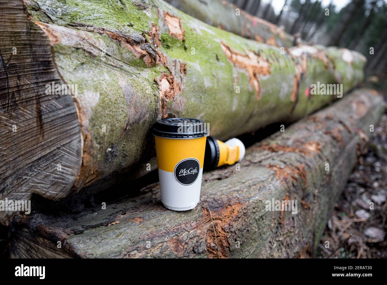 McCafe per andare tazza scartato su un albero abbattuto. Foto Stock