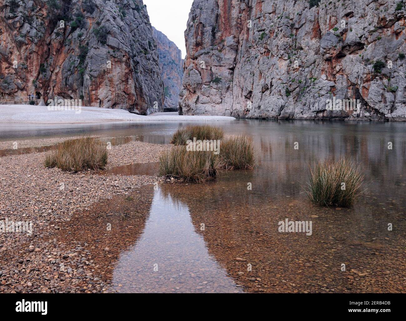 Riflessioni nelle acque alluvionali al Torrent De Pareis Canyon on Baleari Isola di Maiorca in un giorno invernale overcast Foto Stock