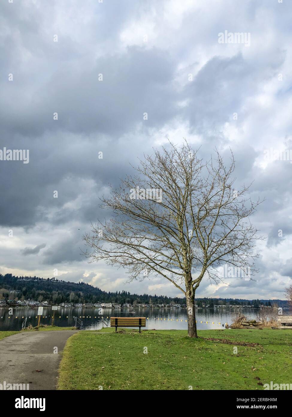 Il Lake Sammamish state Park è un parco situato all'estremità meridionale del lago Sammamish, nella contea di King, Washington, Stati Uniti. Il parco è amministrato dalla WAS Foto Stock