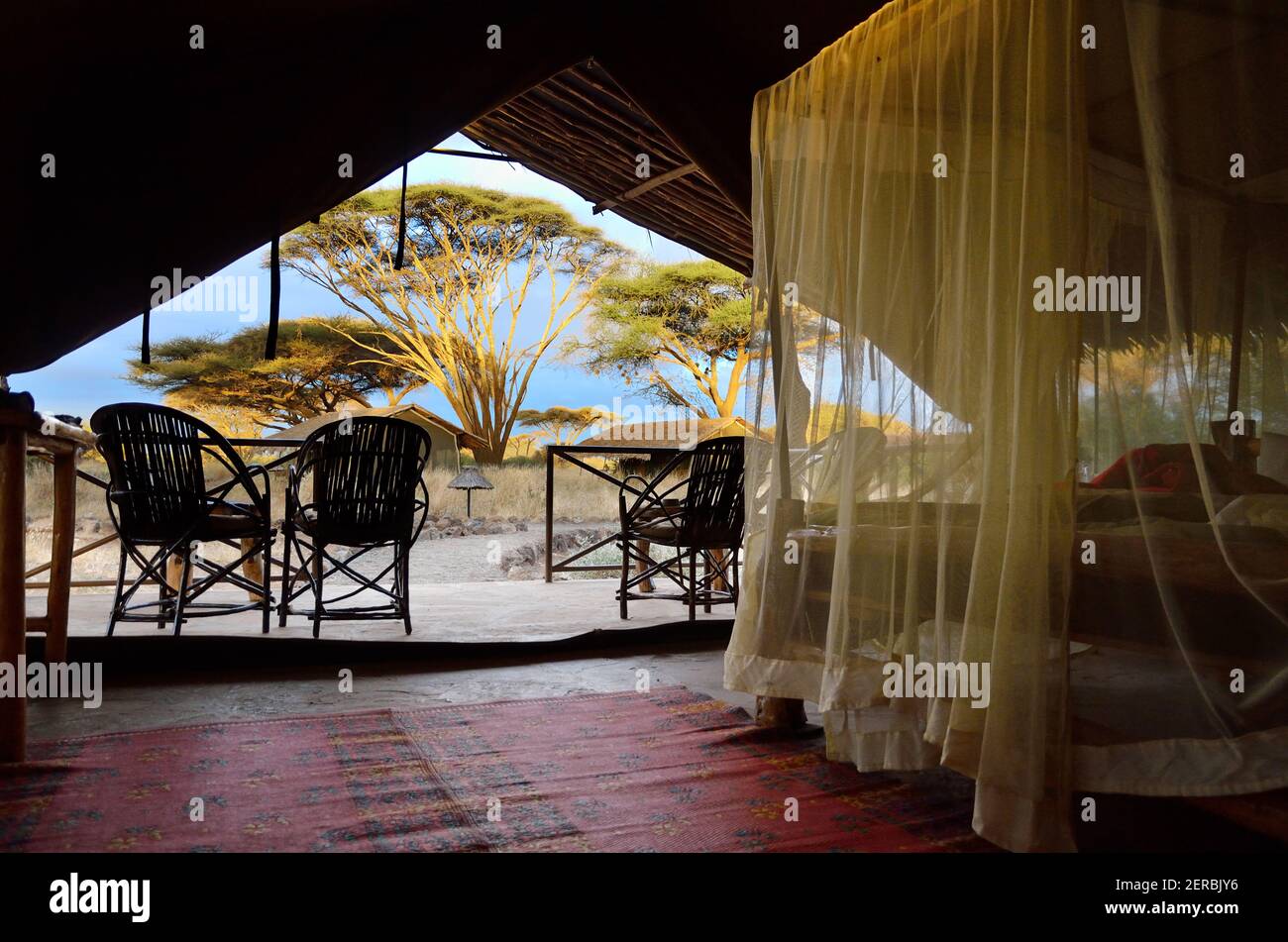 Kibo Safari Camp - Amboseli - Kenya 2012 Foto Stock