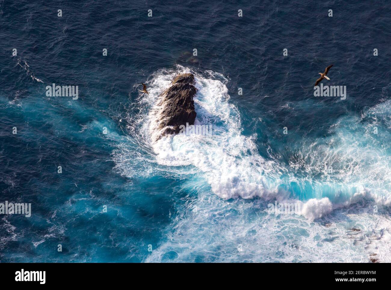 Le onde si infrangono sulle rocce del Mar dei Caraibi, mentre le boobie brune sorvolano, come si vede dalla cima dell'isola di Redonda Foto Stock