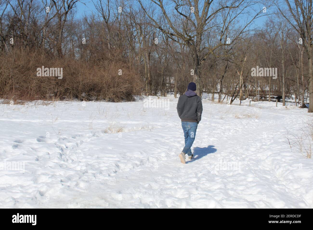 Uomo che cammina verso una foresta in inverno con neve a Linne Woods a Morton Grove, Illinois Foto Stock