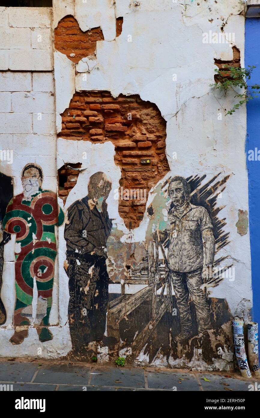 Arte naturale della parete Foto Stock