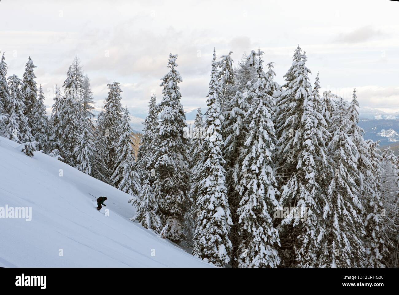 Sciare sulle Purcell Mountains in inverno. Lincoln County, Montana nord-occidentale. (Foto di Randy Beacham) Foto Stock
