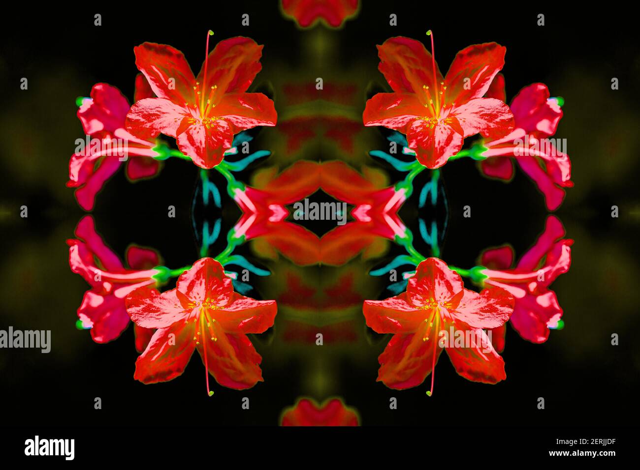 Un'immagine di fiori azalei (Rhododendron) viene trasformata in un disegno floreale, utilizzando la fotografia composita. Foto Stock