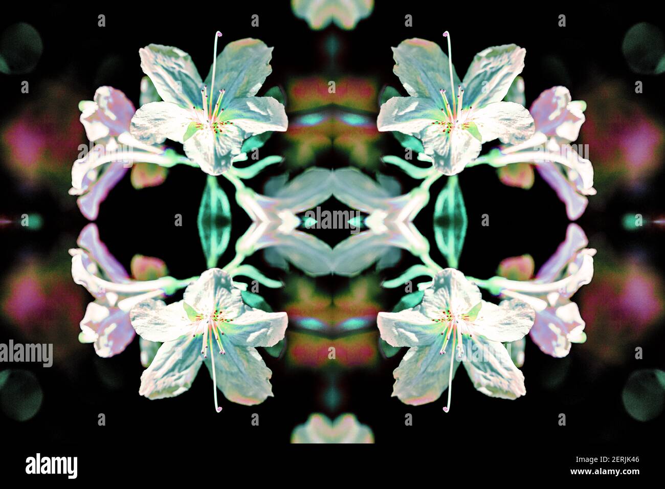 Un'immagine di fiori azalei (Rhododendron) viene trasformata in un disegno floreale, utilizzando la fotografia composita. Foto Stock