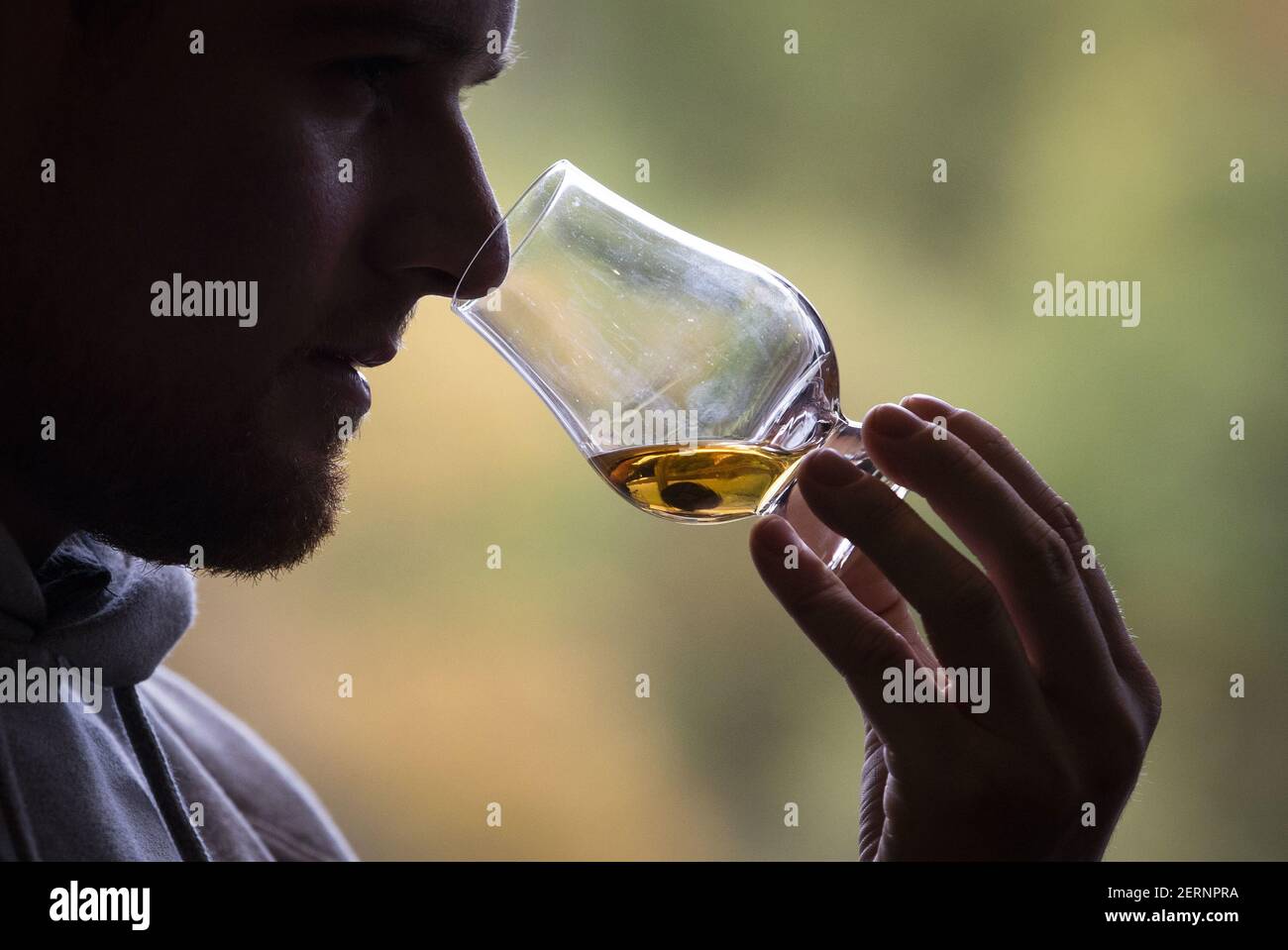 File photo datato 18/10/2019 di un whisky Highland Single Malt di 12 anni in fase di test nella sala di degustazione della Deanston Distillery di Doune. Secondo le nuove ricerche, il numero delle aziende distillerie è aumentato di quasi un terzo durante la pandemia di Covid-19. Foto Stock