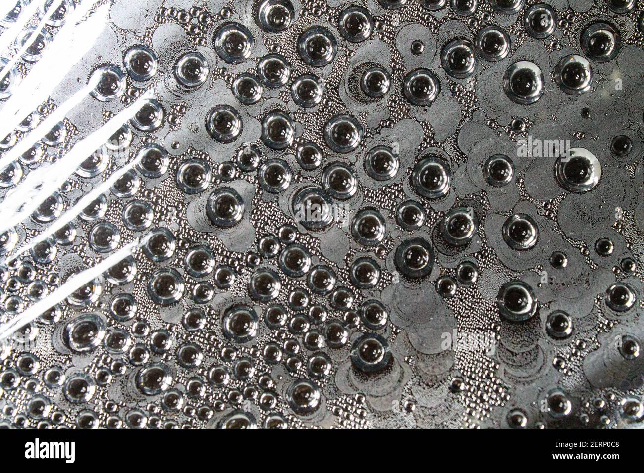 Gocce d'acqua sulla pellicola. Evaporazione dell'umidità su una superficie trasparente. Gocce appendono sulla pellicola. Evaporazione in una serra. Foto Stock