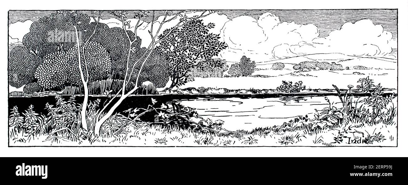 Disegno decorativo paesaggio di sarcetta da pittore e etcher Roy Gill Di Colchester dal 1900 lo Studio un caricatore illustrato di Fine e applicato A. Foto Stock