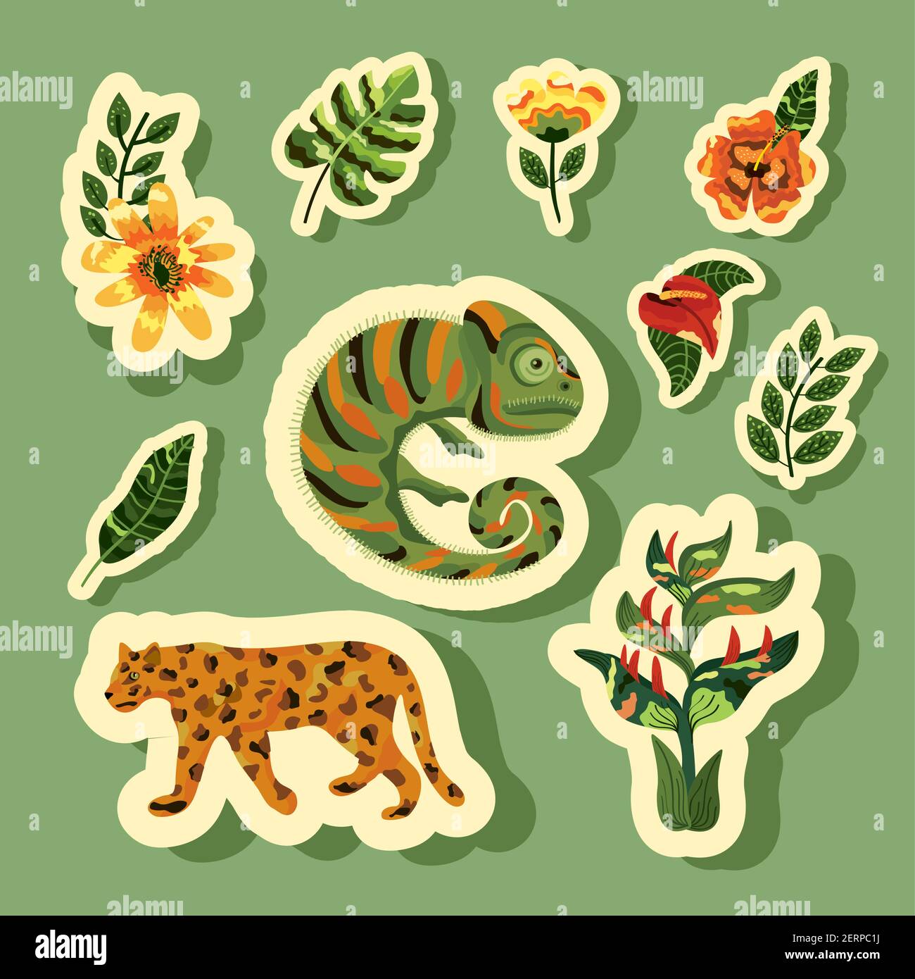 animali esotici e fiori tropicali Illustrazione Vettoriale