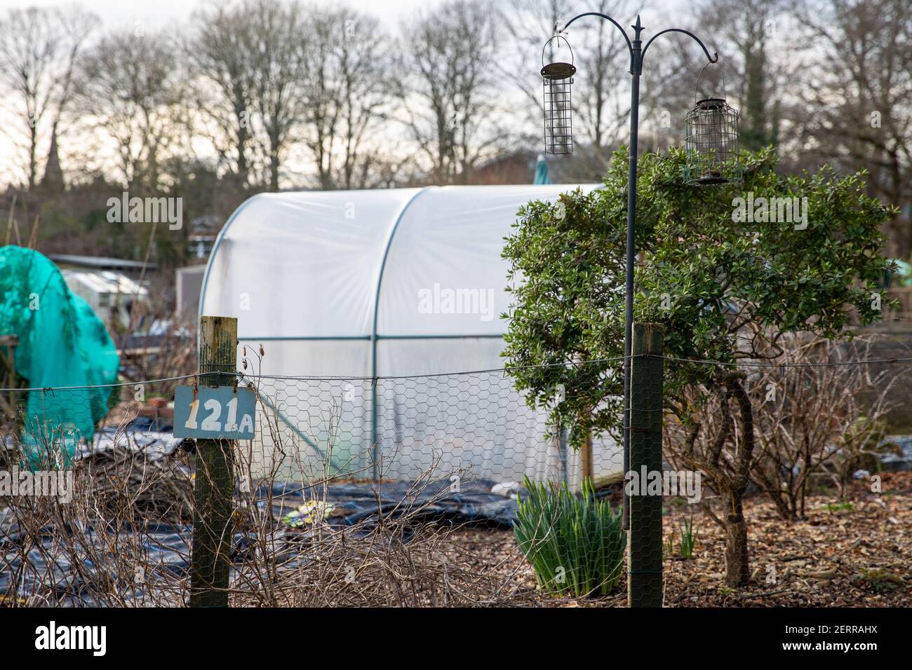 Cardiff, Galles. 22 Febbraio 2021. Nella foto è raffigurata la Pontcana Permanent Allotments. Regno Unito Meteo. Spazi verdi gallesi Foto Stock