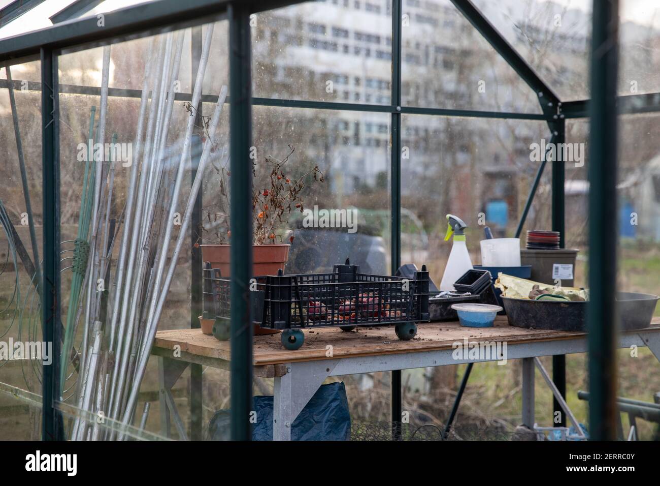 Cardiff, Galles. 22 Febbraio 2021. Nella foto è raffigurata la Pontcana Permanent Allotments. Regno Unito Meteo. Spazi verdi gallesi Foto Stock