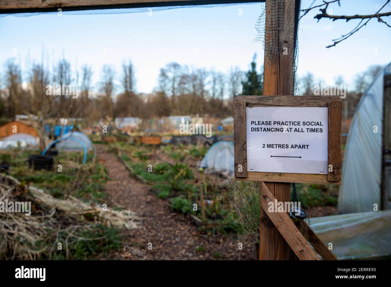 Cardiff, Galles. 22 Febbraio 2021. Nella foto è raffigurata la Pontcana Permanent Allotments. Regno Unito Meteo. Spazi verdi gallesi Foto Stock