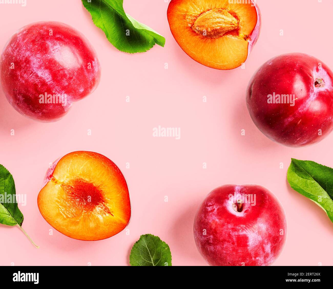 Layout creativo di frutti di prugna rossi e biglietto di auguri su sfondo rosa. Concetto di cibo sano e di dieta. Composizione di frutta fresca estiva e ira Foto Stock