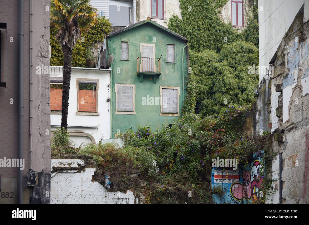 Verde facciata casa dilapide, Porto, Portogallo Foto Stock