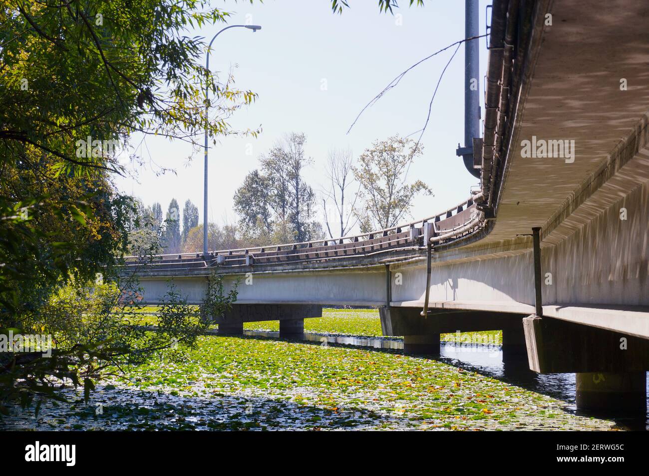 L'autostrada statale e la superstrada nell'area metropolitana di Seattle, parte dello stato di Washington degli Stati Uniti (state Route 520). Vista della strada da Forest Foto Stock