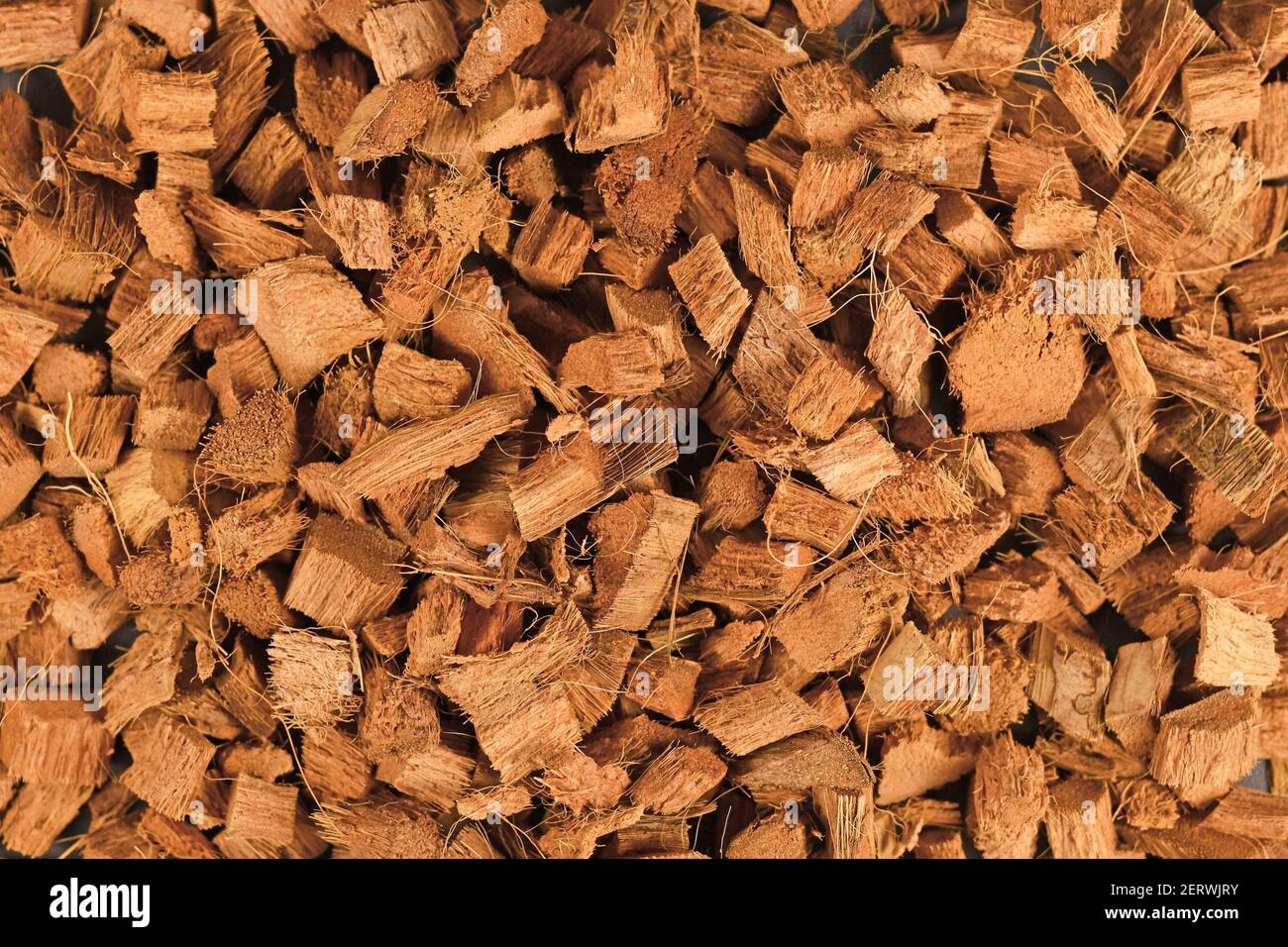 Vista dall'alto delle bucce di fibre di cocco utilizzate per il terreno in vasellatura mescolare per piante o terreni di terrario Foto Stock