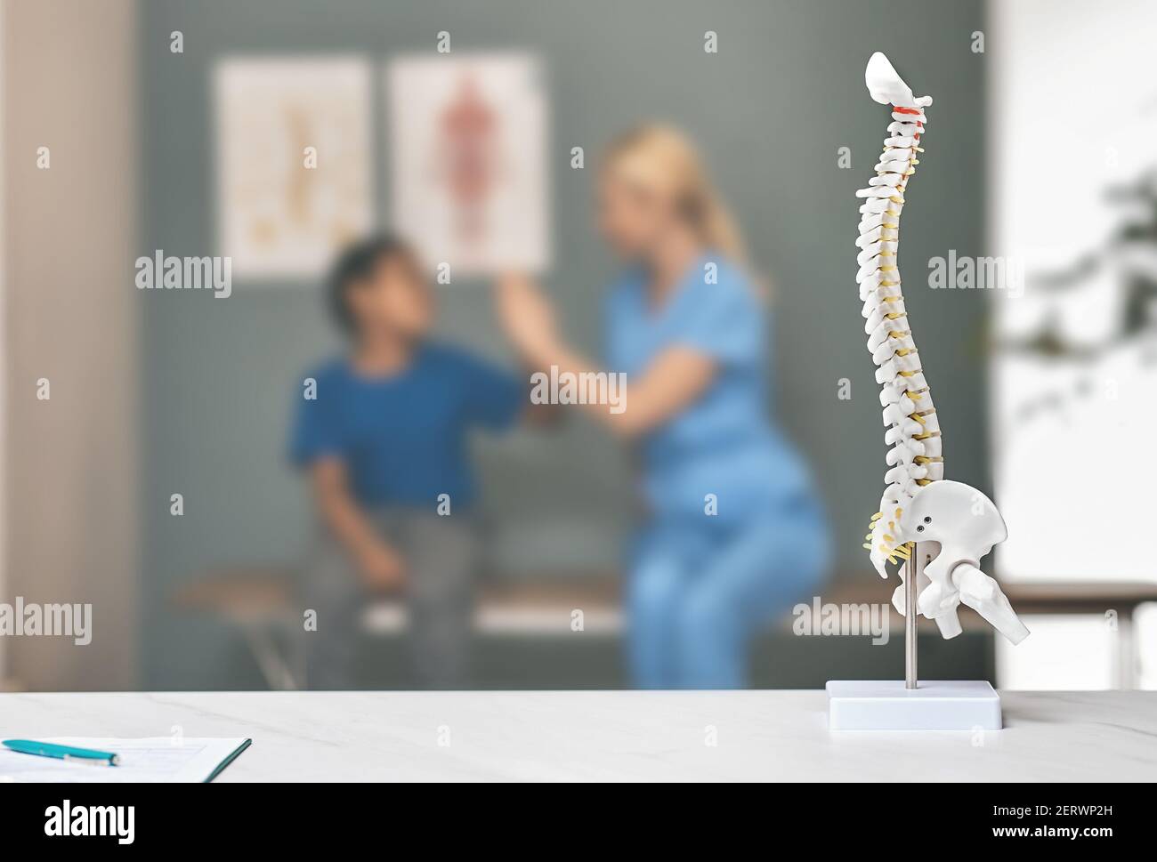 Modello anatomico della colonna vertebrale sul tavolo del terapeuta in ufficio medico. Ragazzo paziente e fisioterapista durante una consultazione sullo sfondo, fuoco morbido Foto Stock