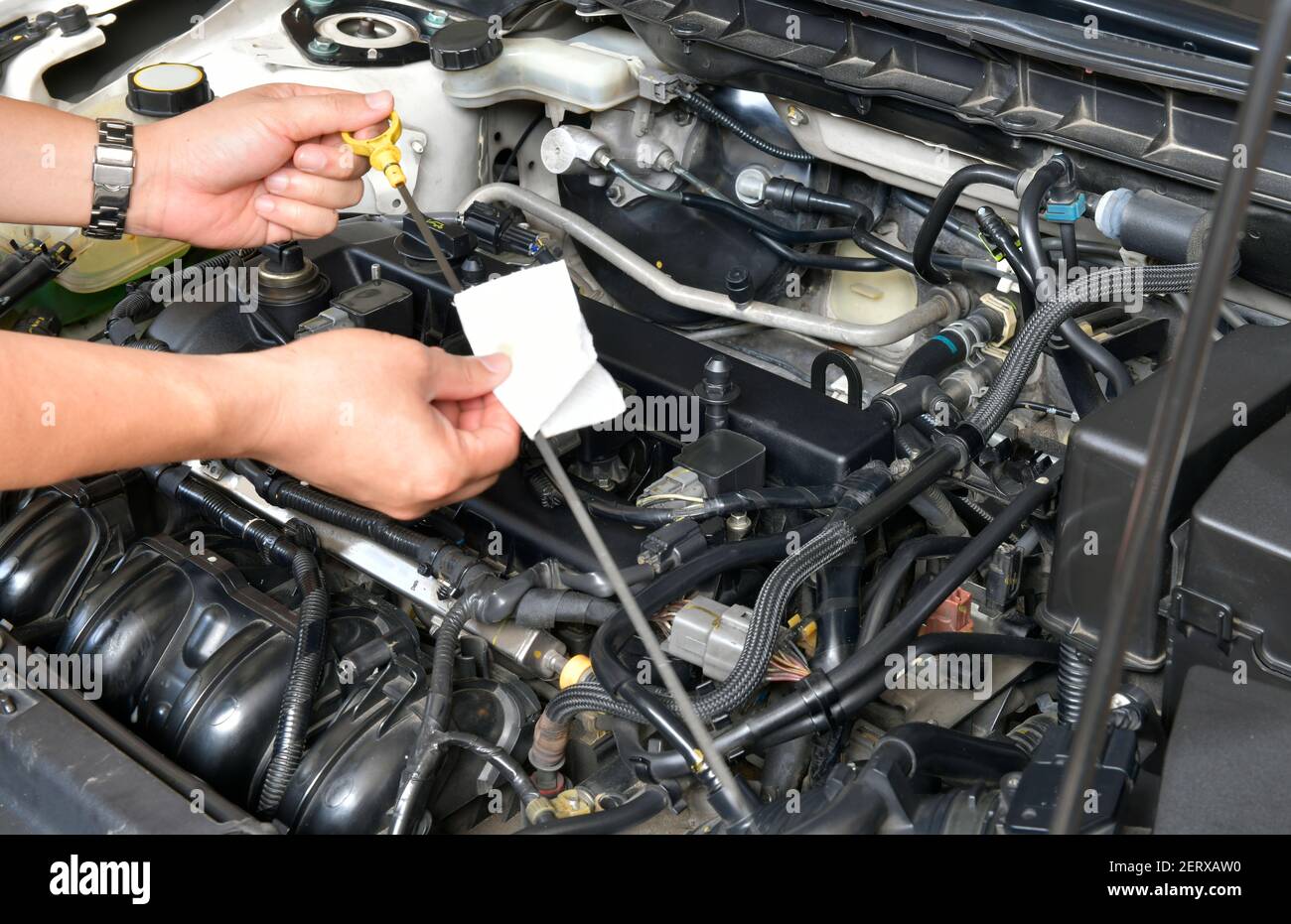 Un meccanico professionista sta tenendo l'astina di livello olio controllare il livello dell'olio nel motore della vettura Foto Stock
