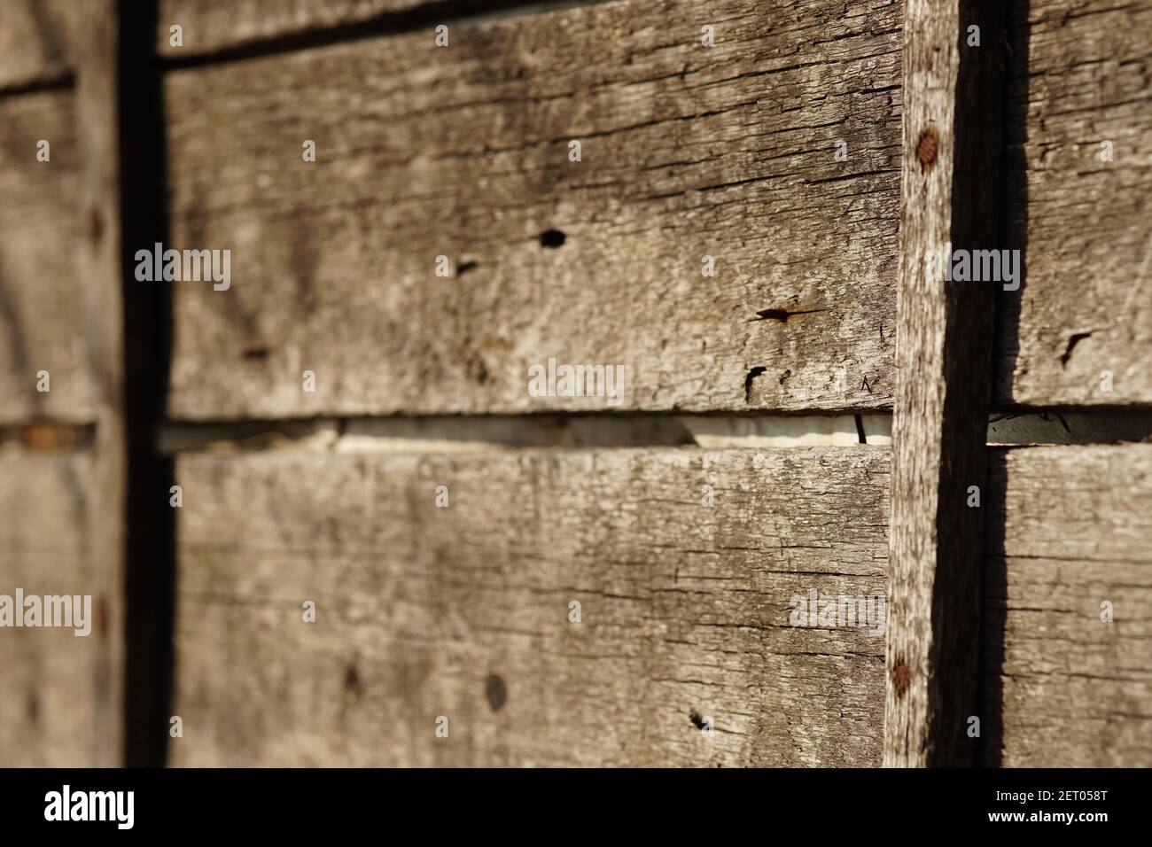 Tavola di legno marrone con chiodi arrugginiti in luce solare. Foto Stock