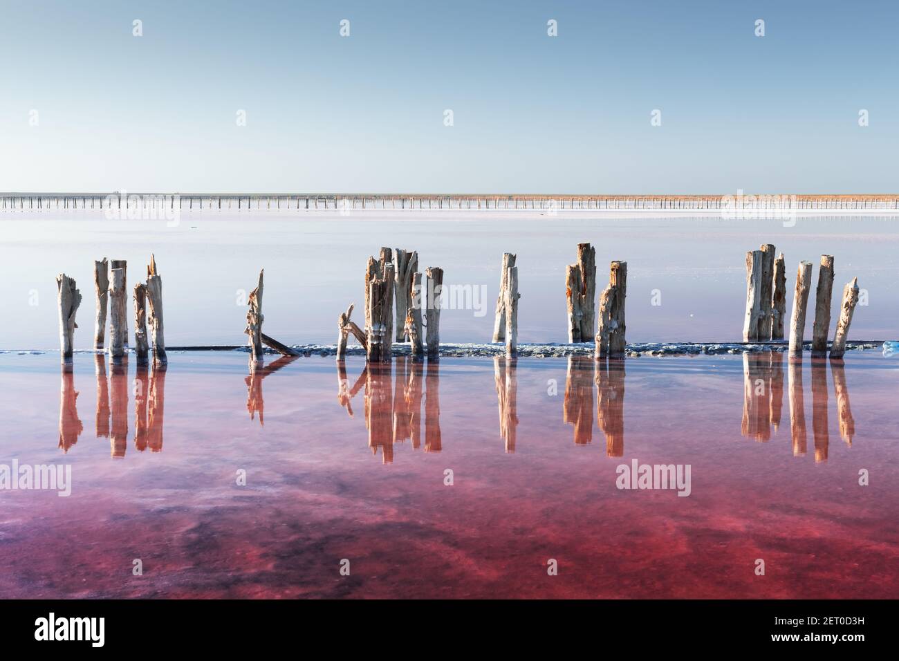 Acqua di lago di sale rosa con pali di legno sotto il cielo blu chiaro nel giorno d'estate. Concetto creativo di colore Foto Stock