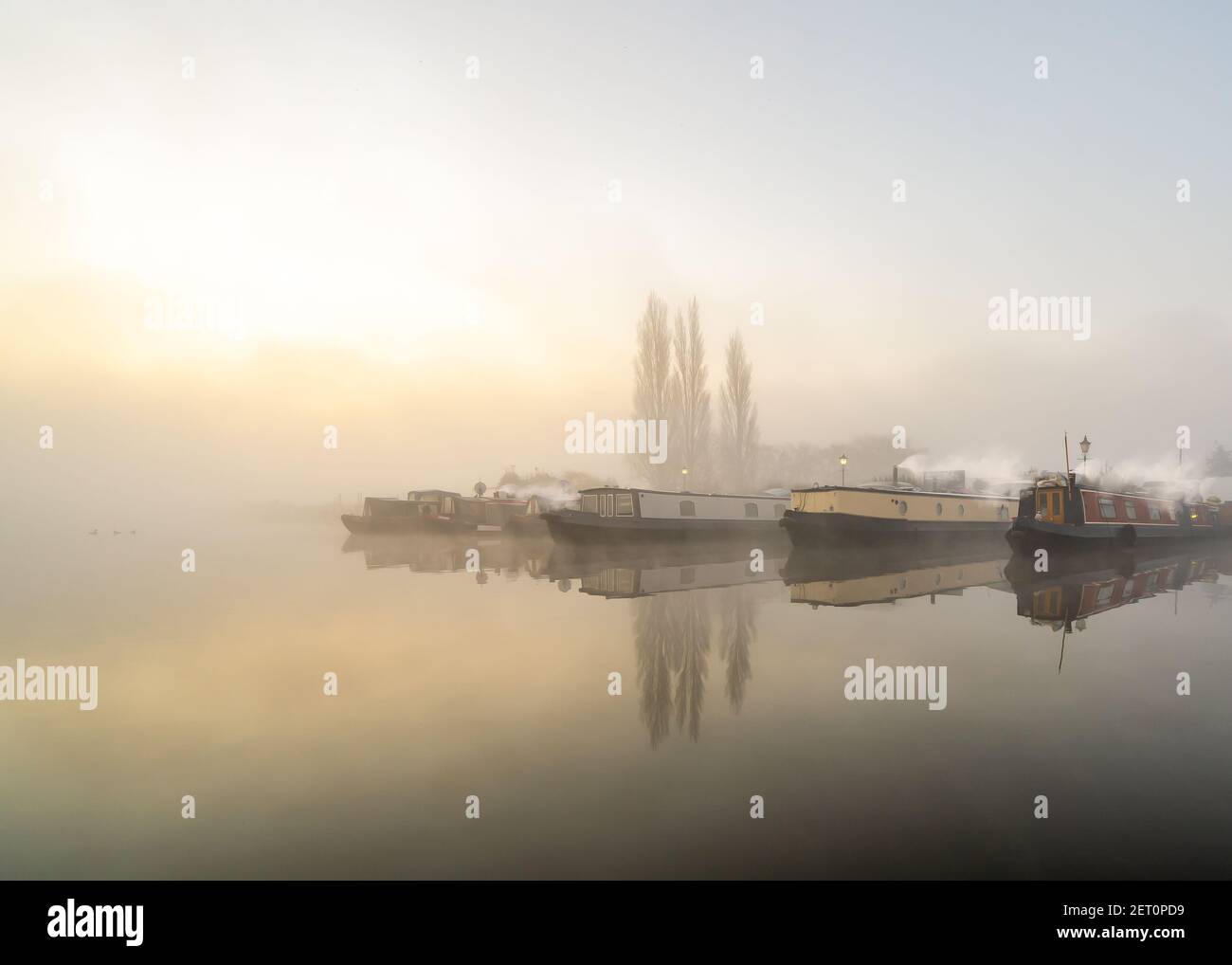 Due donne anonime che fanno jogging nel parco nebbia nebby mattina presto dawn con il cane come il sole alza raggi di luce attraverso alberi in silhouette tranquilla e panoramica Foto Stock