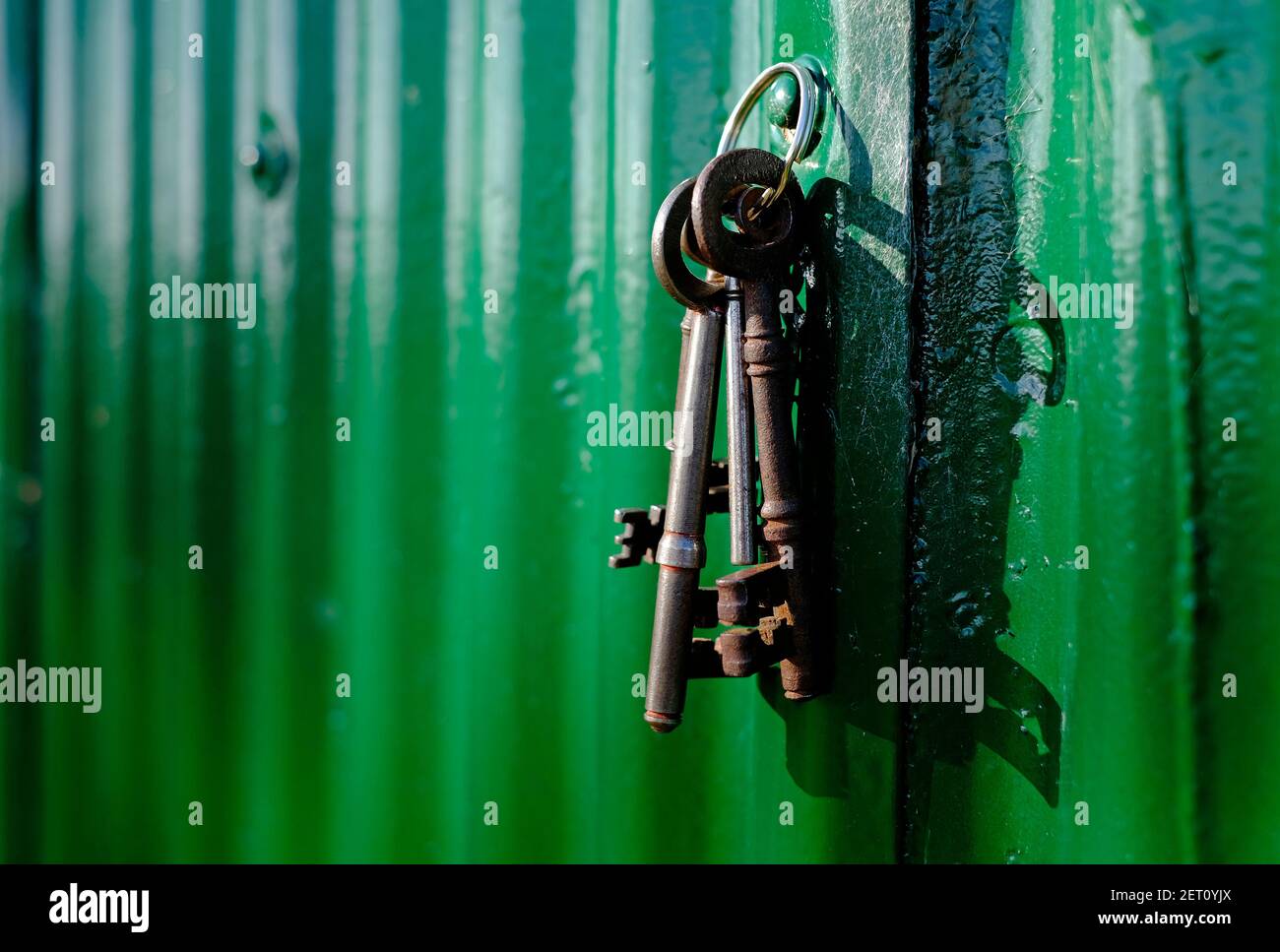 mazzo di vecchie chiavi di casa arrugginite appese su vernice verde parete metallica corrugata Foto Stock