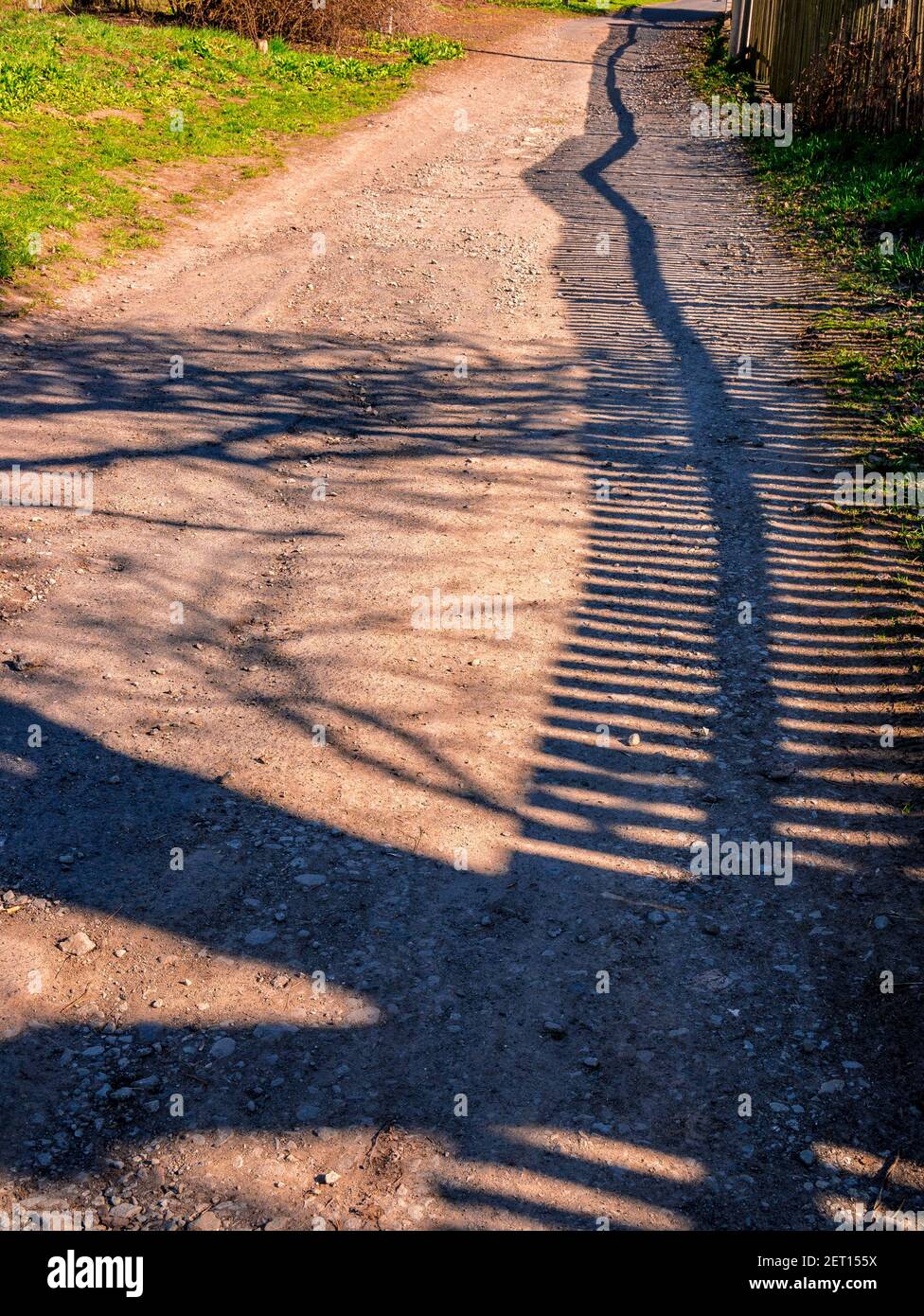 Recinzione di legno che getta ombre su strada sterrata Foto Stock