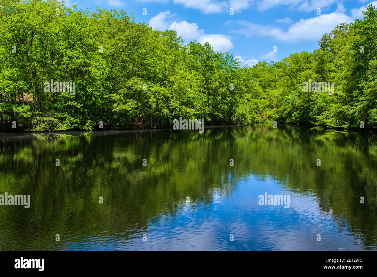 Foto di un laghetto circondato da alberi verdi nel parco statale di Allaire in primavera. Foto Stock