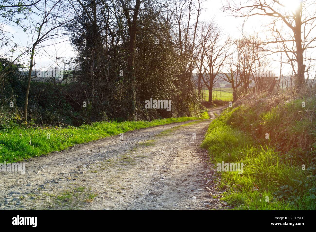 strada rurale retroilluminata che si snoda attraverso campi arati Foto Stock