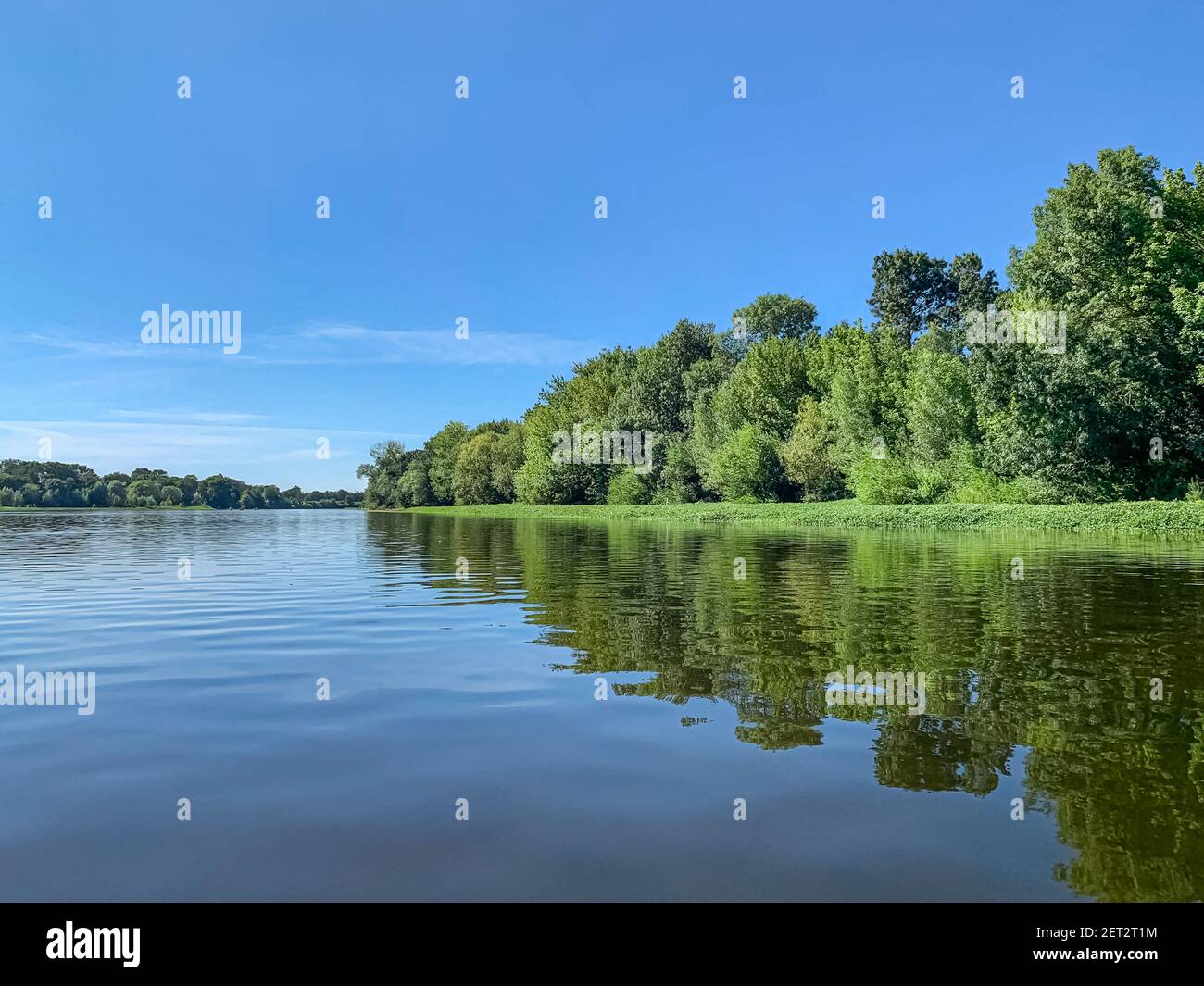 Vista sulla superficie del fiume Loira con vegetazione lussureggiante che riflette sull'acqua Foto Stock