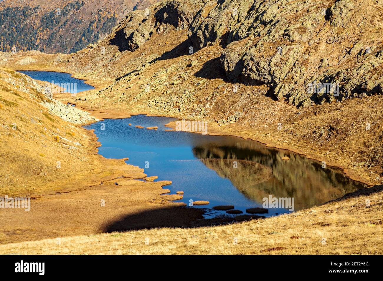 Val Viola in autunno, Bormio (IT) Foto Stock