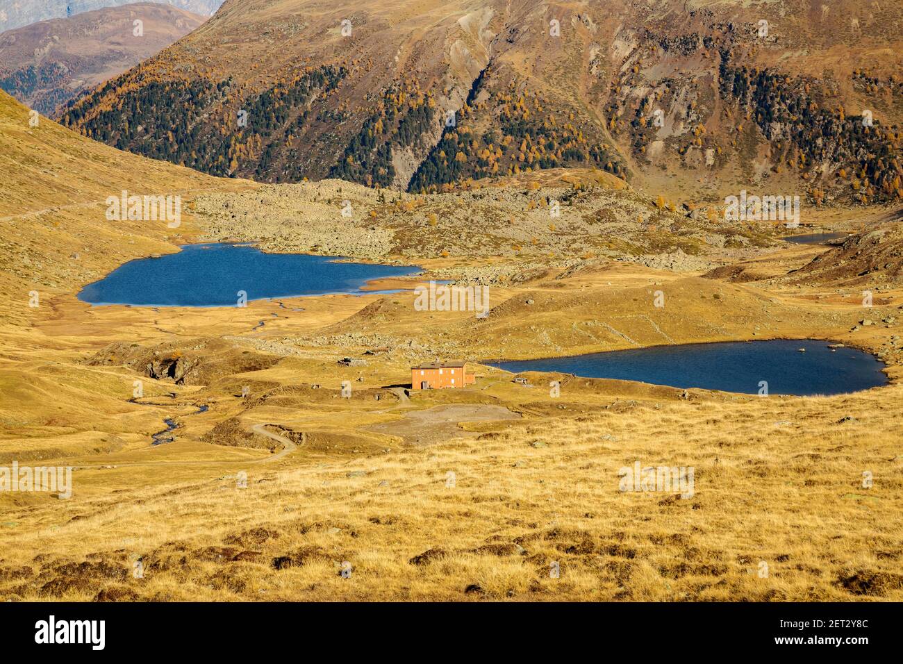 Val Viola in autunno, Bormio (IT) Foto Stock
