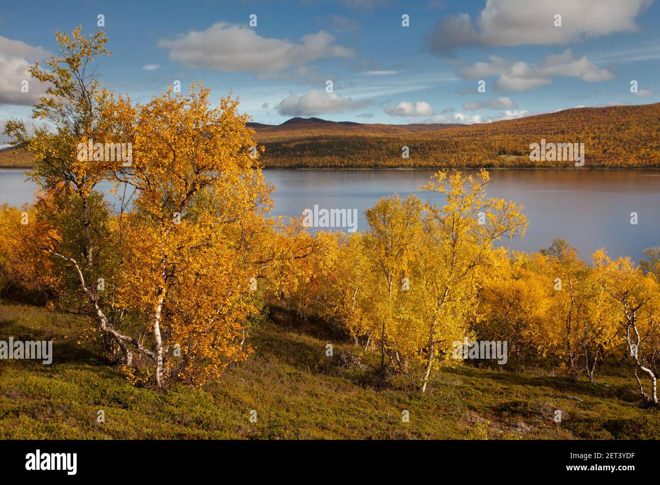 Pulmankijärvi Autunno Foto Stock