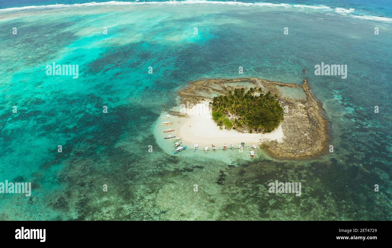 Isola tropicale nell'oceano con palme sulla spiaggia di sabbia bianca. Isola Guyam, Filippine, Siargao. Estate viaggi e concetto di vacanza Foto Stock