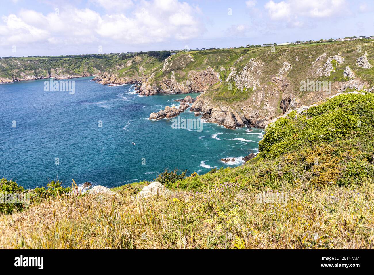 La bella costa sud aspra di Guernsey, Isole del canale Regno Unito visto da Icart Point Foto Stock