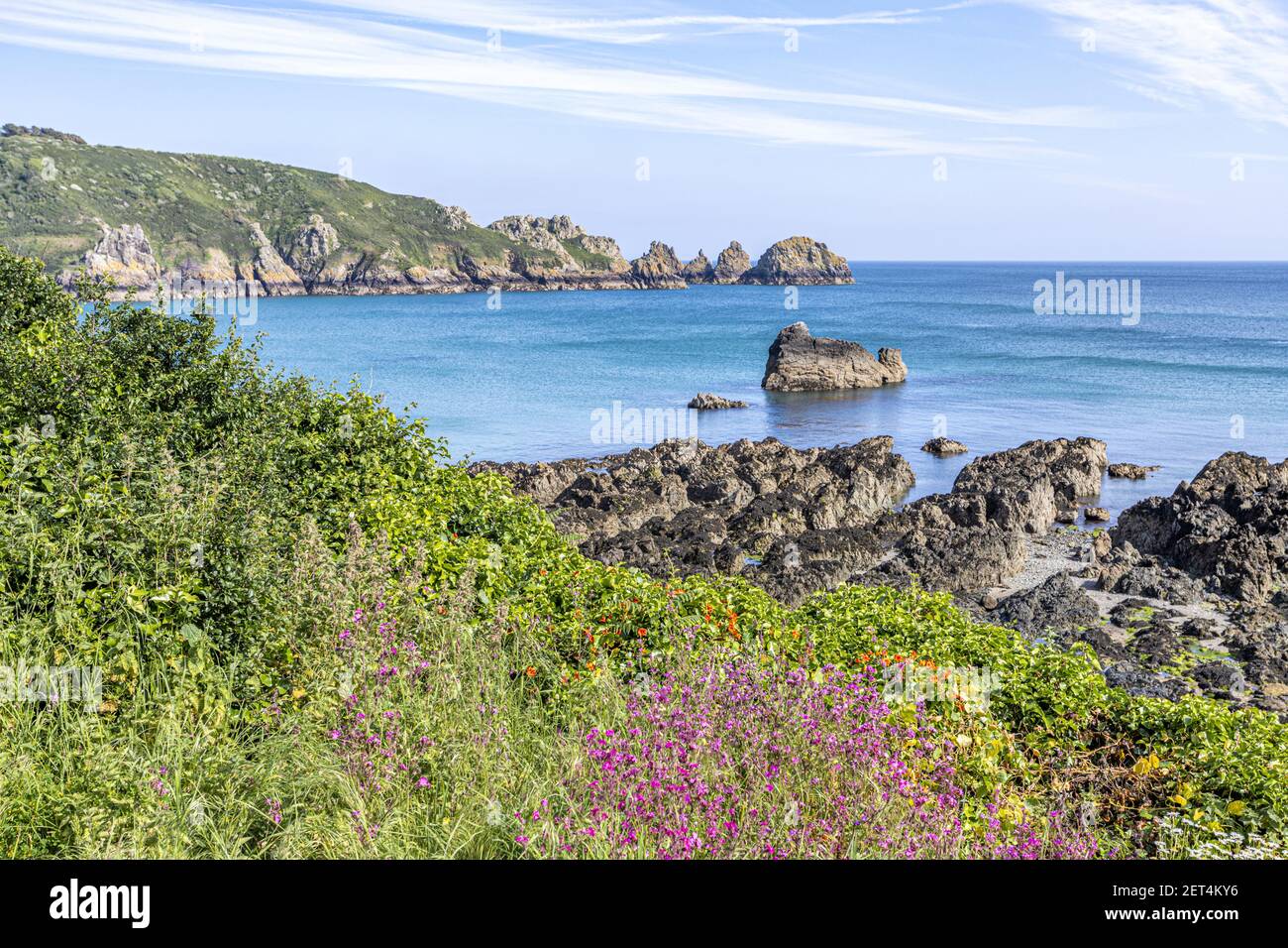 La bella costa sud aspra di Guernsey - Wildflowers accanto al percorso costiero intorno Moulin Huet Bay, Guernsey, Isole del canale Regno Unito Foto Stock