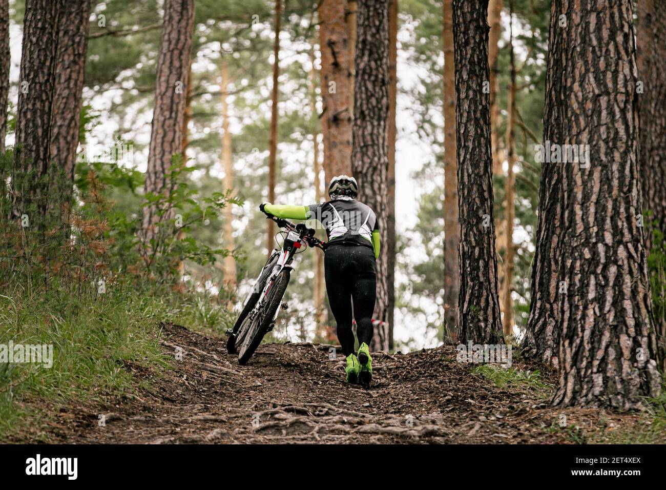 l'uomo ciclista con mountain bike va in salita su sentiero con radici di albero Foto Stock