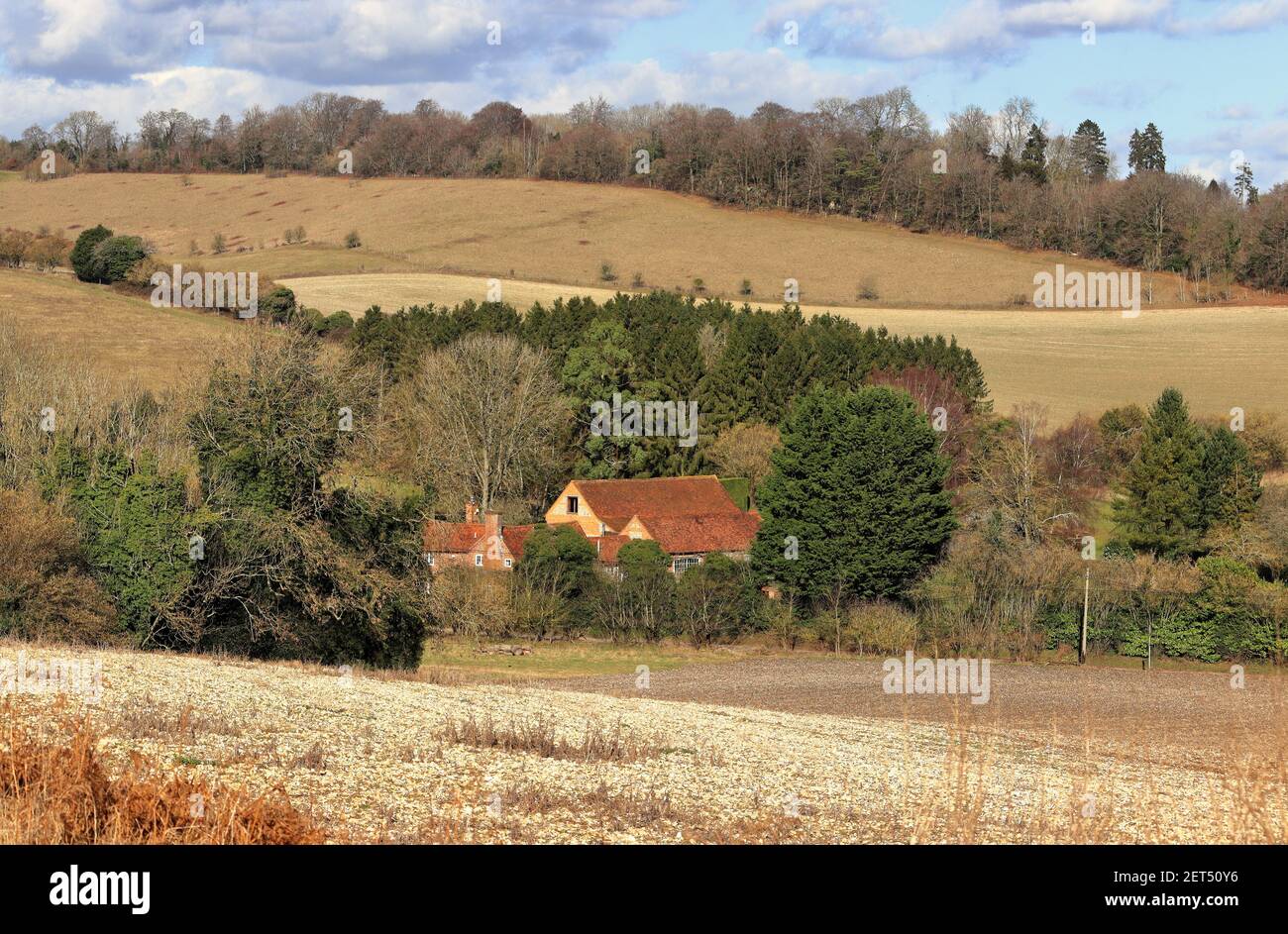 Un paesaggio rurale inglese nelle colline di Chiltern in inverno sole con case nella valle Foto Stock