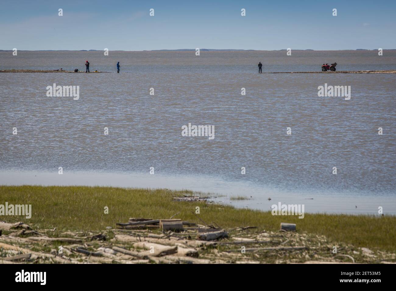 Le persone che pescano da terra bar che si rifugia nell'Oceano Artico, nel villaggio Inuvialuit di Tuktoyaktuk, territori del Nord-Ovest, Canada. Foto Stock