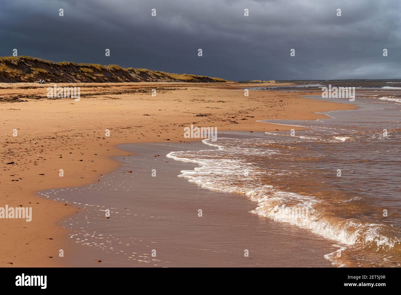 Spiaggia di sabbia sotto il cielo tempestoso nella rurale Isola del Principe Edoardo, Canada. Foto Stock