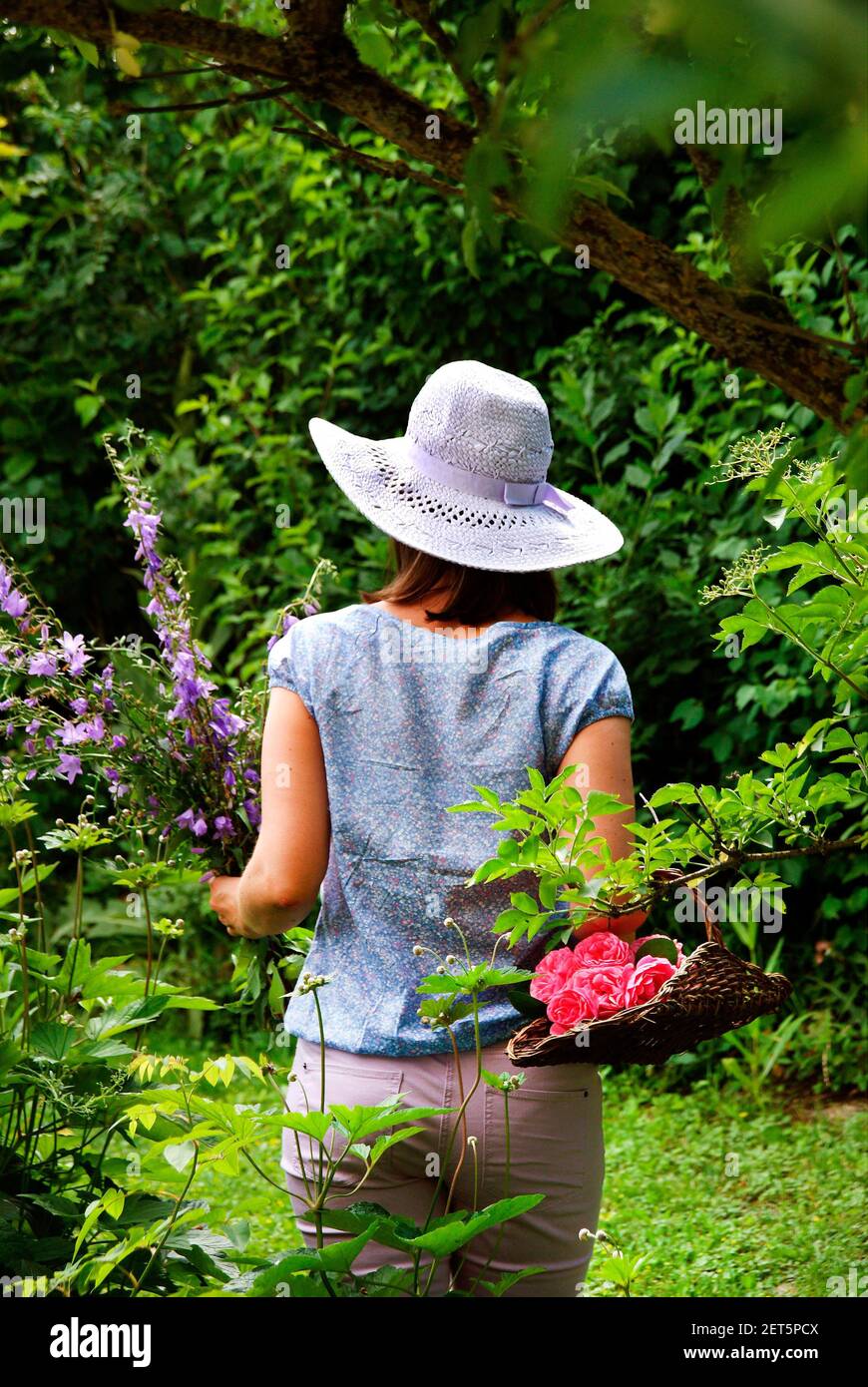 Indietro vista di donna in un giardino UK & IRISH DIRITTI SOLO, ALTRI DIRITTI CONTATTO EWASTOCK.COM Foto Stock