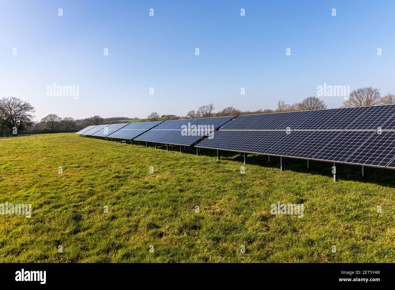 Fattoria solare con grandi pannelli solari in un array, West Sussex, Inghilterra Foto Stock